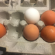F for farmer’s market, W for weeks’ old, B for brown, blank white egg for blank white egg